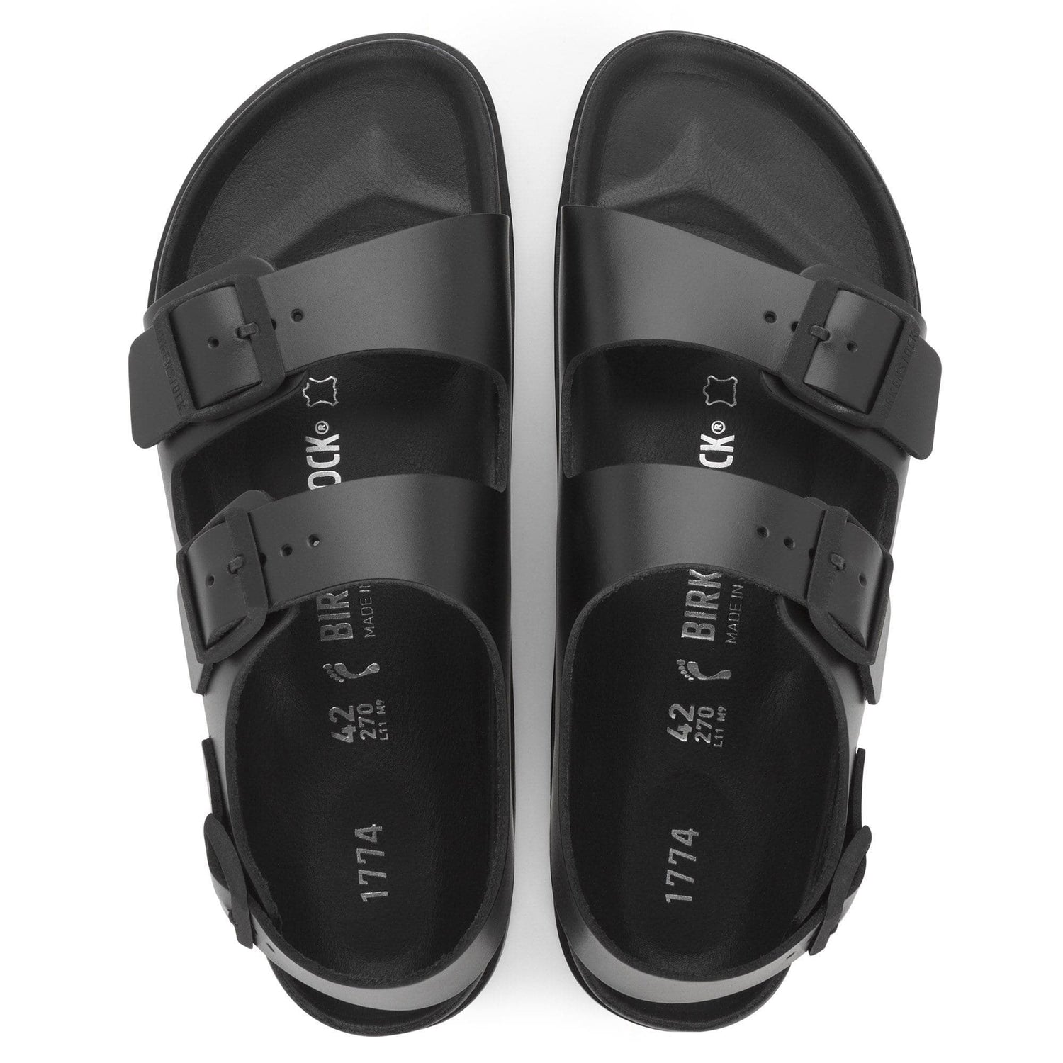 alt:Black